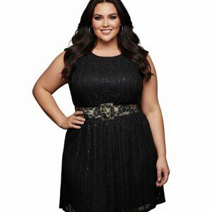 STYLE & COMPANY SZ 1X BLACK LACE DRESS LBD W/belt NEW